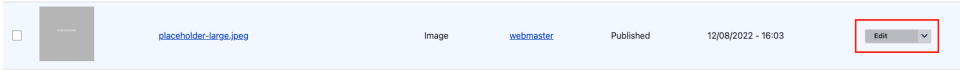 A screenshot showing the Edit button for a media item in the media library.