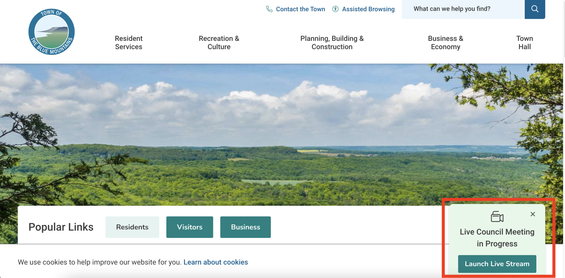 Screenshot of the Blue Mountains homepage with the live pop up appearing in the bottom right corner