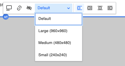 A screenshot showing the resize options, large, medium, small and their dimensions.